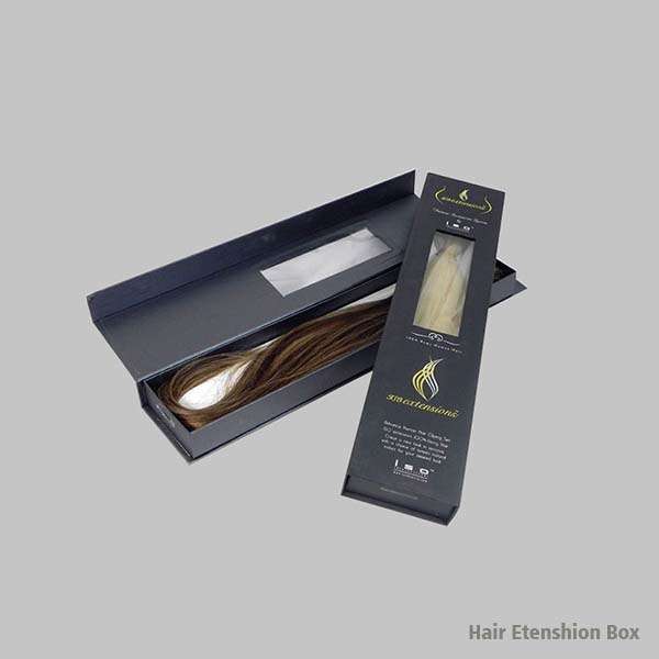 Hair Extension Box 1 Hair Extension Box 1